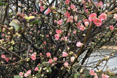 2025年は思い通りになった？